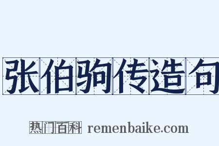 张伯驹传造句是什么意思的图片